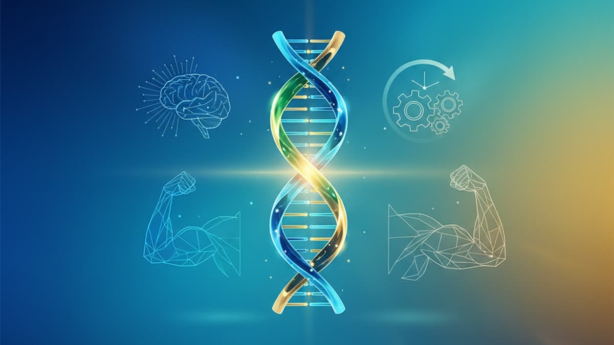 Epithalon Benefits: Beyond Anti-Aging Research in 2026