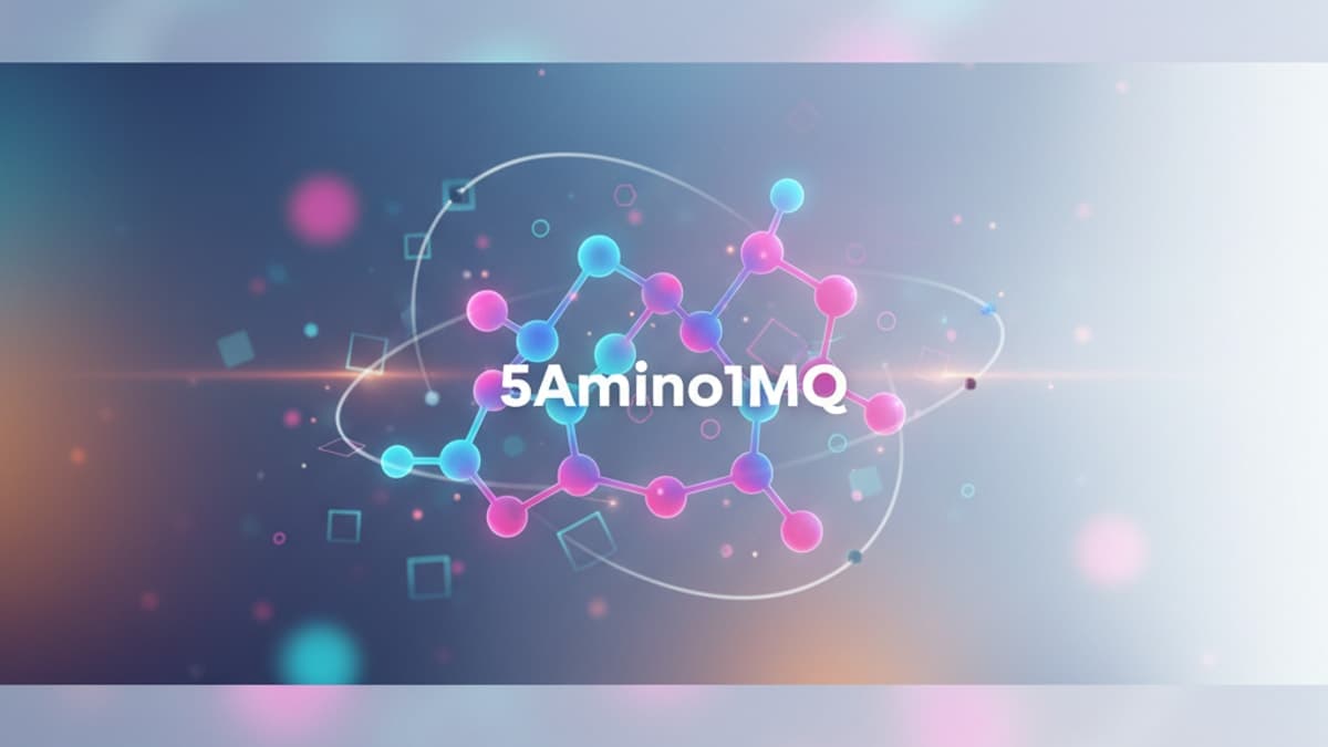 Thinking to Buy 5Amino1MQ? A 2026 Lab Perspective