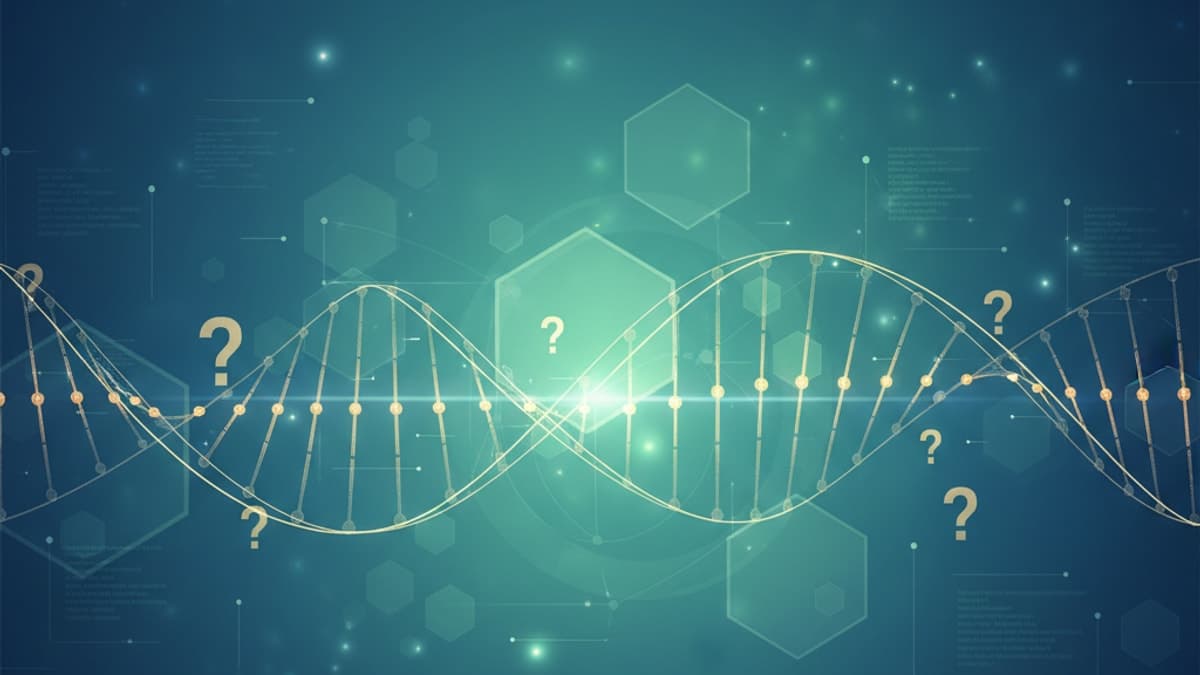 Epithalon FAQ: Unlocking Cellular Longevity Research