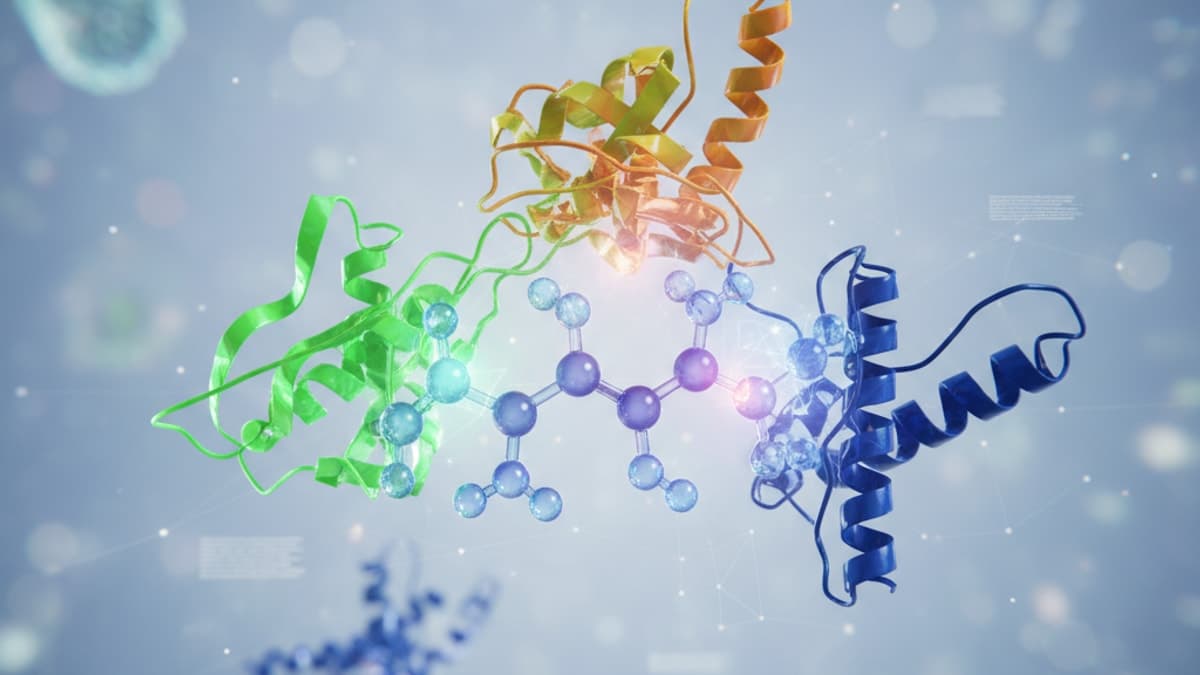 Does Retatrutide Help Triple Agonist Research? Study Impact