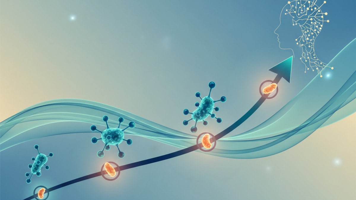 Blog Post: Cagrilintide results timeline - Professional illustration