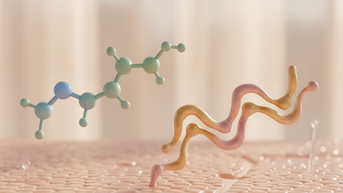 what's the difference between snap-8 and acetyl octapeptide-3 - Professional illustration