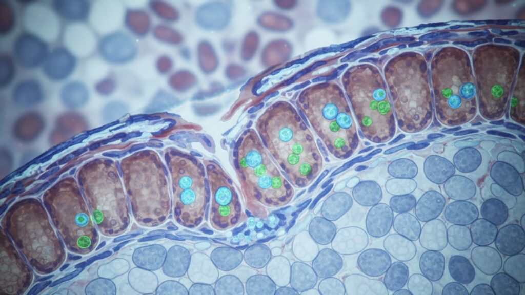 bpc-157 crohn's disease research mechanism - Professional illustration