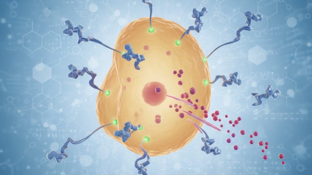 aod-9604 visceral fat reduction research mechanism - Professional illustration