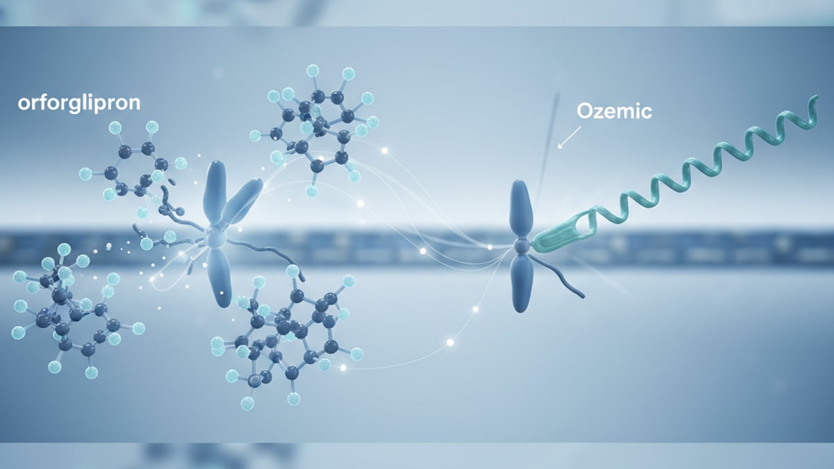 orforglipron vs ozempic mechanism - Professional illustration