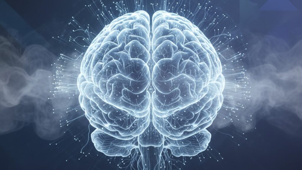 selank amidate brain fog mechanism - Professional illustration