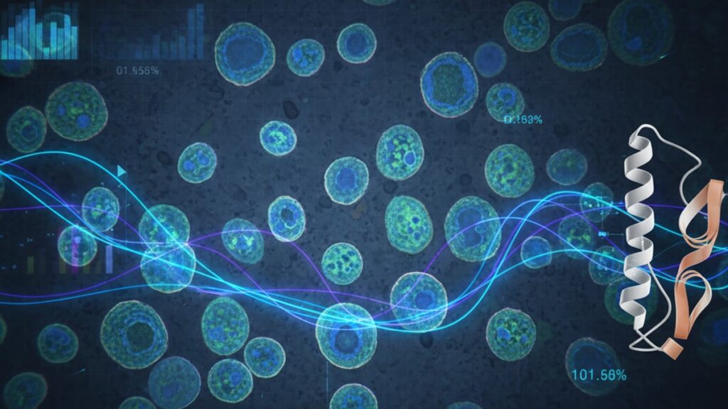 foxo4-dri studied cellular senescence research - Professional illustration