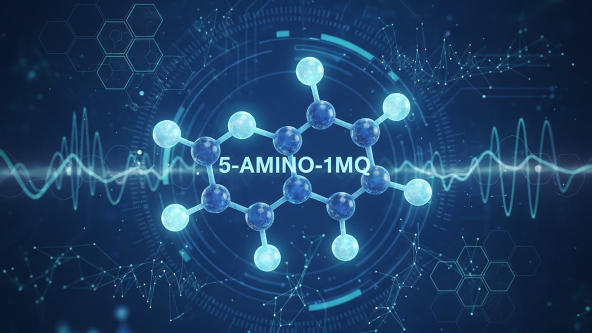 5-amino-1mq biomarkers - Professional illustration